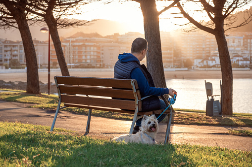 Man with his dog sitting on a bench in an autumn Park