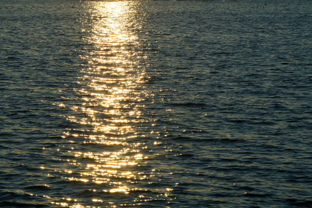 istock the setting sun is reflected in the water 1287396451