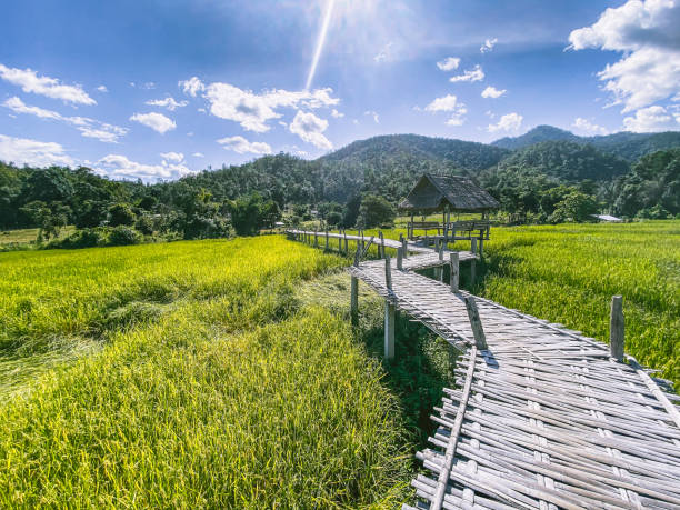 istock Bamboo Bridge in Pai, Mae Hong Son, Chiang Mai, thailand 1287397594