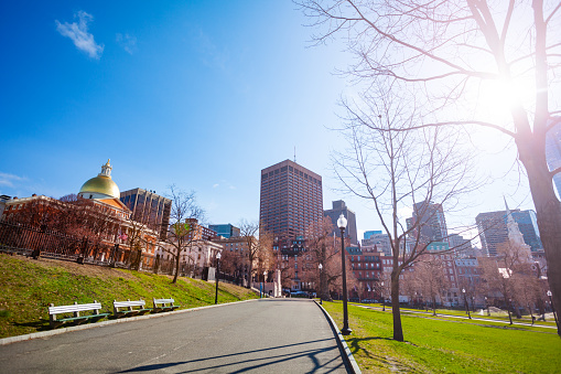 Sacred Cod and panorama of Boston Common, central public park in downtown, Massachusetts, USA