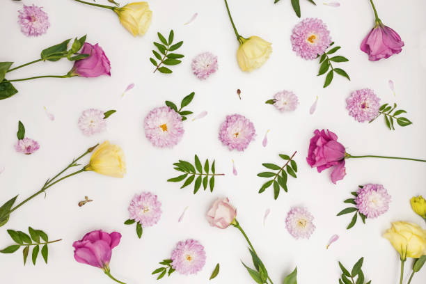 istock Creative flat lay composition with flowers, leaves and petals. 1287398917