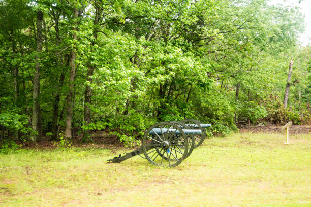 istock Old Canons at Shiloh Cemetery 1287403611