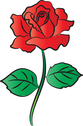 vector cartoon rose