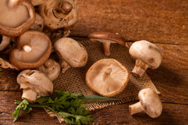 istock Paris or champignon and Shitake Mushroom on Wood Background 1287408224