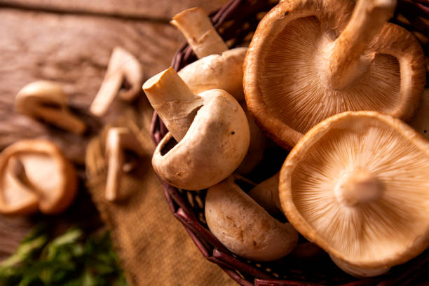 istock Paris or champignon and Shitake Mushroom on Wood Background 1287408360