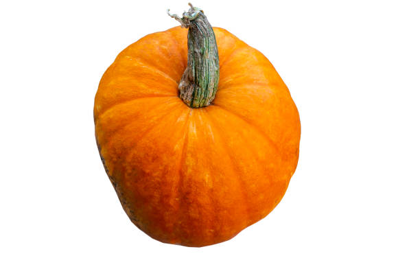 istock pumpkin photo, isolate, the harvest in the fall, Halloween 1287410345