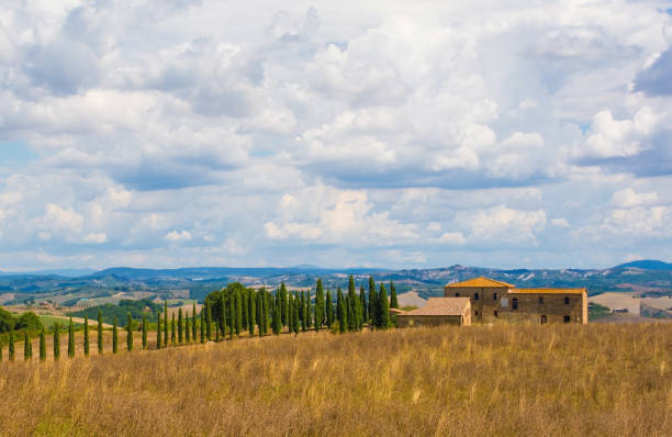 istock Landscape Near Murlo, Tuscany 1287411524