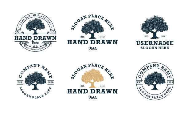 hand gezeichnet schattigen baum abstrakte zeichen, symbol oder logo-design-vorlage - tree environment oak tree symbol stock-grafiken, -clipart, -cartoons und -symbole