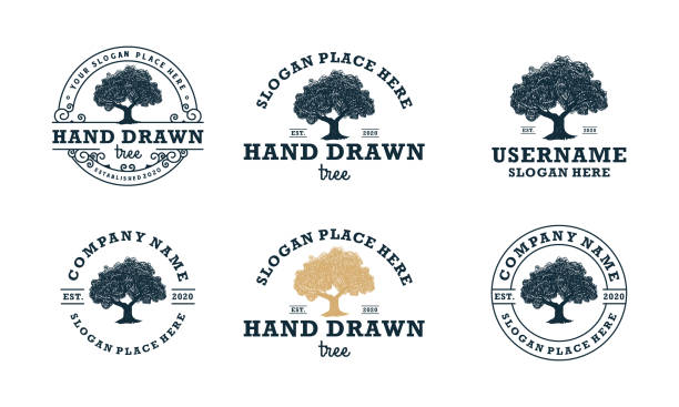 ilustrações de stock, clip art, desenhos animados e ícones de hand drawn shady tree abstract sign, symbol or logo design template - old growth