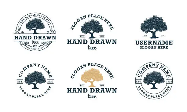 Vector illustration of hand drawn shady tree abstract sign, symbol or logo design template