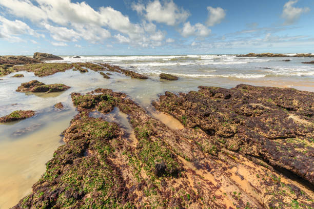 istock Atlantic ocean landscape at low tide. 1287411926