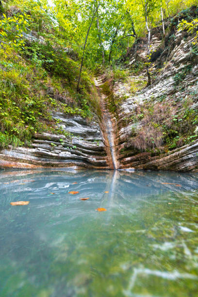 istock beautiful rocky waterfall in the forest 1287412037
