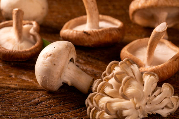 istock Various types of mushrooms on a wooden table 1287414939