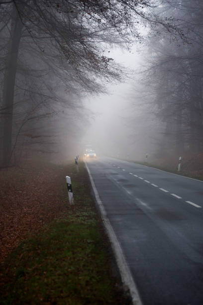 istock Autumnal road through forest - fog 1287415197