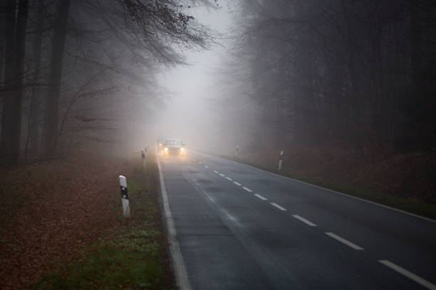 istock Autumnal road through forest - fog 1287415237