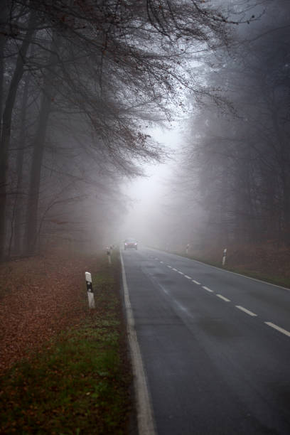 istock Autumnal road through forest - fog 1287415304
