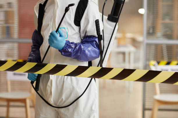 Disinfection Services Cropped portrait of unrecognizable disinfection worker wearing full protective gear standing behind danger line while sanitizing office, copy space biohazard cleanup stock pictures, royalty-free photos & images