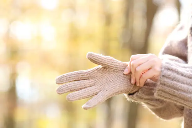 Photo of Woman hands putting wool gloves in a cold autumn