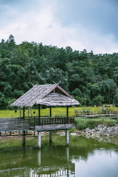 istock Bamboo Bridge in Pai, Mae Hong Son, Chiang Mai, thailand 1287419500
