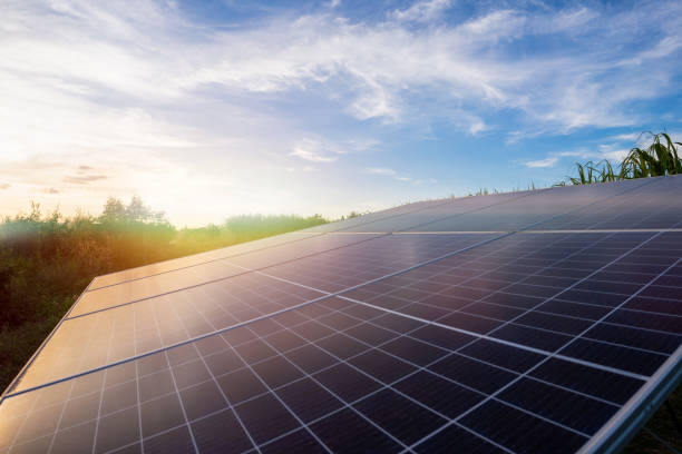 istock solar energy in sugar farm, green power 1287428062