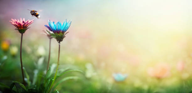 istock Blue and pink flowers on a blurred background. Macro shot. 1287429610