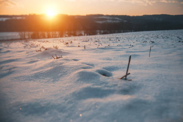 Winter weather