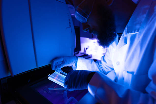 pesquisador em laboratório de dna: agarose sequenciamento de resultados de gel - dna sequencing gel - fotografias e filmes do acervo