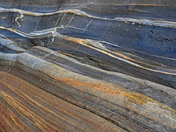 grain in the orthogneiss, mase dans l’orthogneis - gneiss photos et images de collection