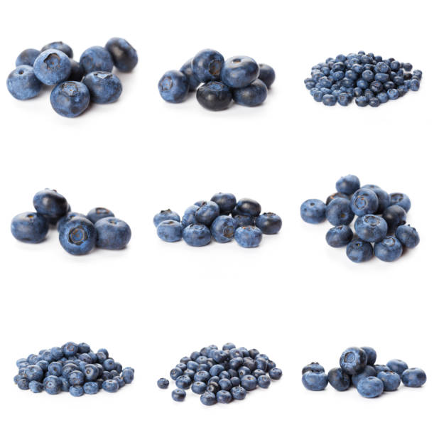 istock Blueberries set isolated on white background. Bilberry. Clipping path. 1287445524