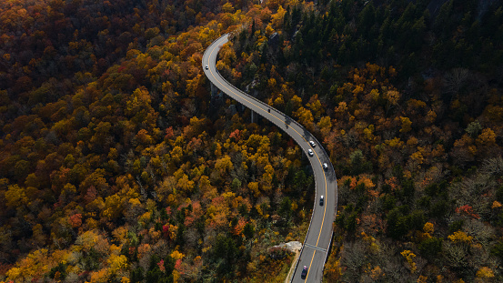 Aerial of a Winding Highway Through a Forest in Autumn