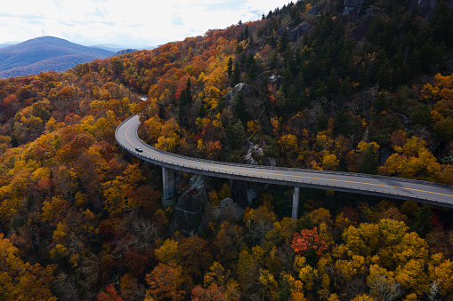 Aerial of a Winding Highway Through a Forest in Autumn