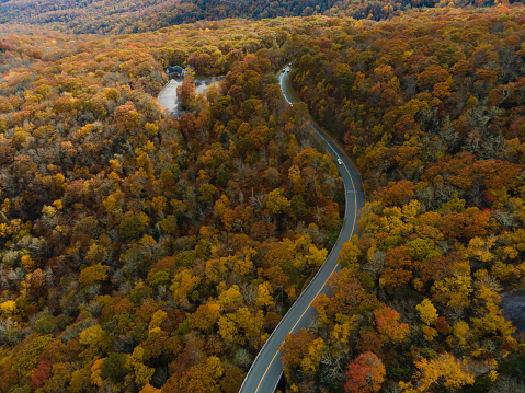 Aerial of a Winding Highway Through a Forest in Autumn