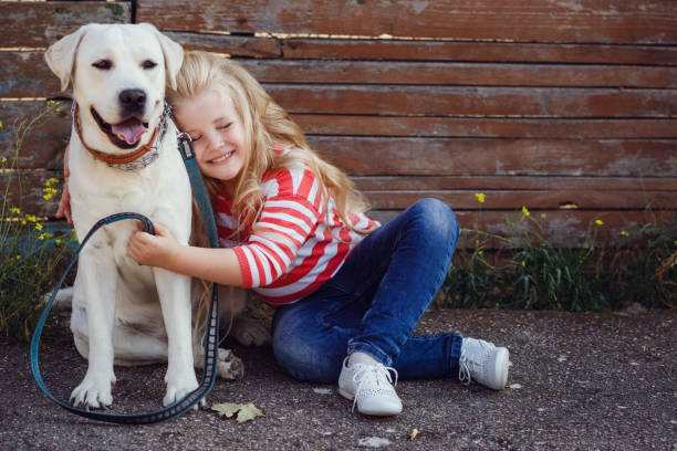 bella ragazza bionda che gioca con il suo cane. ritratto all'aperto. serie - golden retriever friendship white small foto e immagini stock