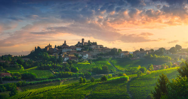 villaggio neive e vigneti delle langhe, piemonte, italia europa. - provincia di cuneo foto e immagini stock