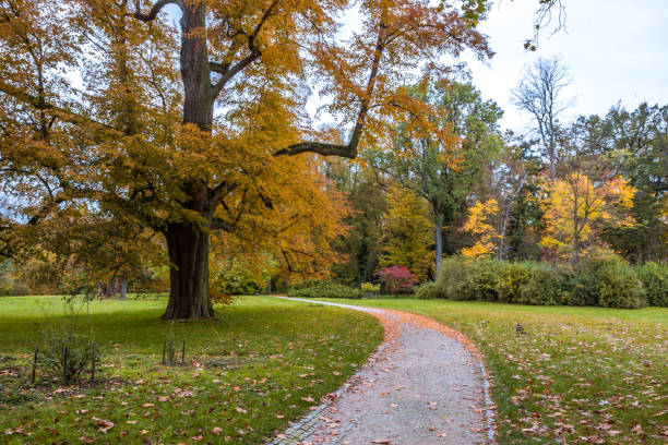 istock Autumn colors in the park 1287455009
