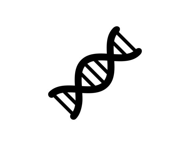 DNA icon. Isolated DNA, Helix symbol - Vector DNA icon. Isolated DNA, Helix symbol - Vector helix model stock illustrations