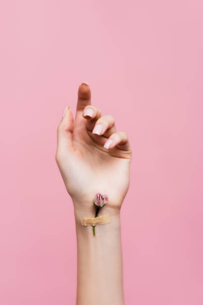 plaster with flower on female hand isolated on pink