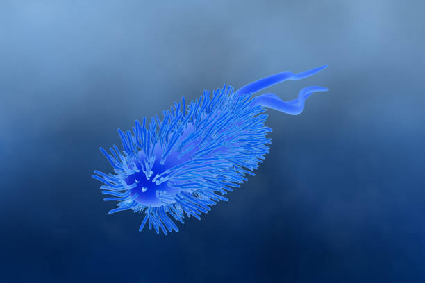 istock 3D Illustration showing Escherichia coli bacteria (E. coli) 1287458082