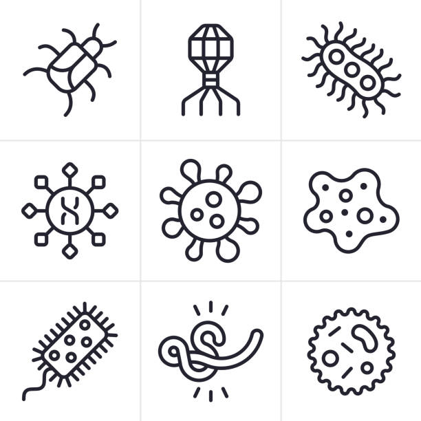 Viruses Diseases and Infection Line Icons and Symbols Virus disease bacteria illness sickness icons and symbols collection. protozoan stock illustrations