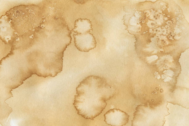 ilustrações de stock, clip art, desenhos animados e ícones de abstract background with watercolor stains. coffee and tea drips, old vintage paper - tea stain