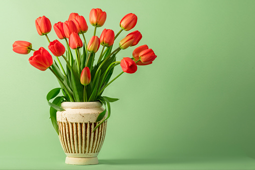 Bouquet of flowers (tulips) in a vase on a green background. Space for copy.