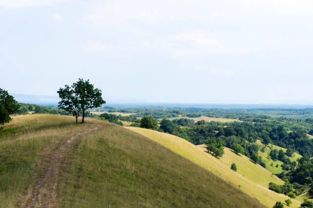 istock Summer landscape in hills of sand dune 1287468410