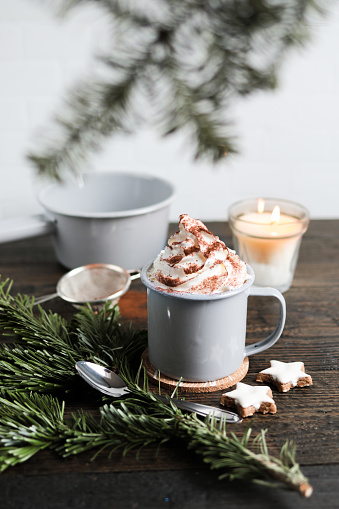 Hot Chocolate with Fir branch and Christmas cinnamon star Cookies