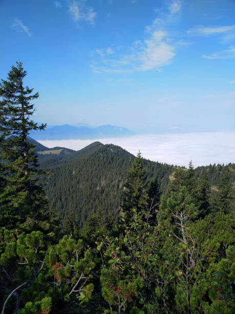 istock Home garden -a mountain in bavaria 1287469623