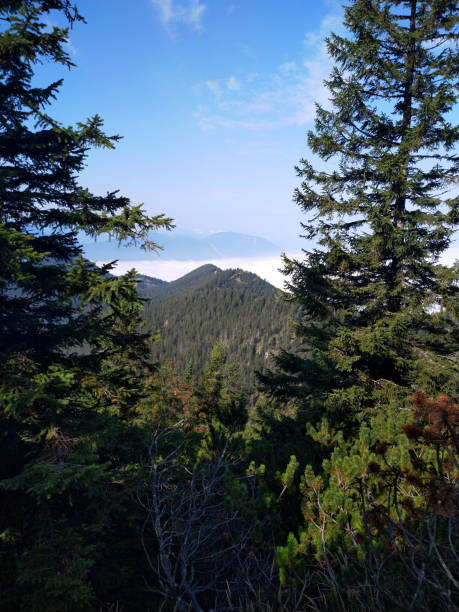 istock Home garden -a mountain in bavaria 1287469940