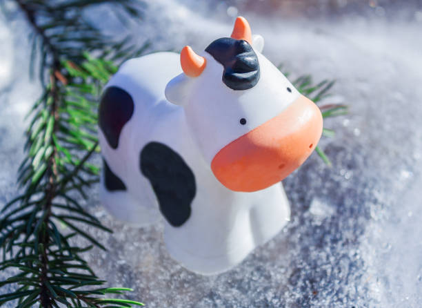 istock a cow and a fir branch 1287471416