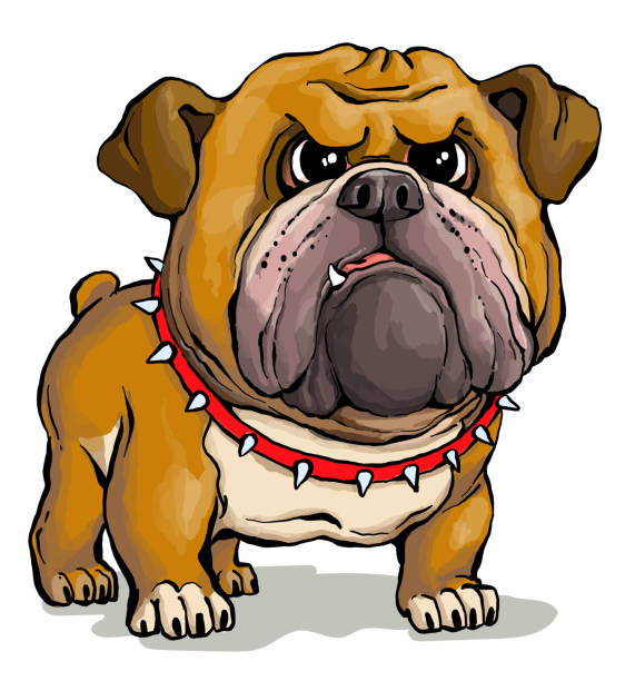 Funny bulldog portrait vector art illustration