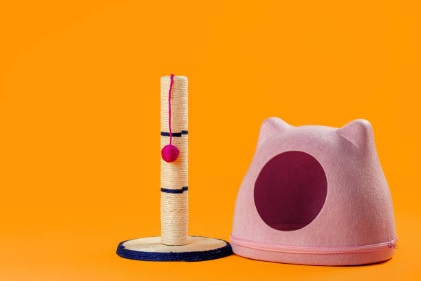 istock Cat house and scratching post on yellow background 1287479107