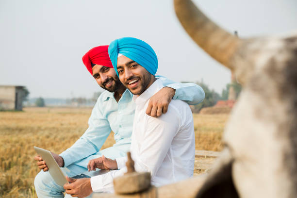 istock Young Brothers - stock photo 1287479306