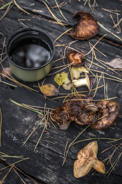 istock Autumn still life tea with mushrooms on a wooden table 1287480945